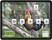 A thumbnail of a landscape iPad displaying a screen from This=That which shows a rooster standing on a branch, crowing as the backdrop of the app.